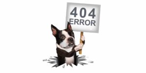 Dog holding a '404 Error' sign.